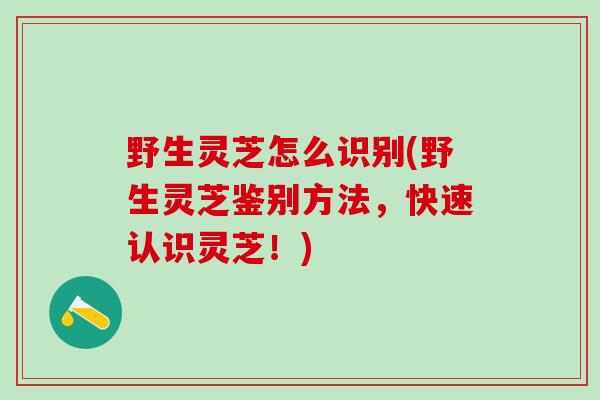 野生灵芝怎么识别(野生灵芝鉴别方法，快速认识灵芝！)