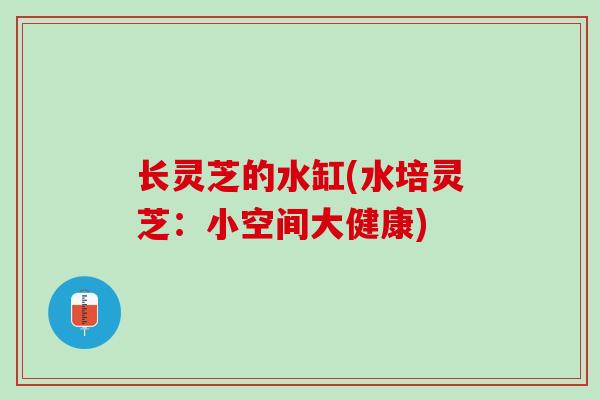 长灵芝的水缸(水培灵芝：小空间大健康)