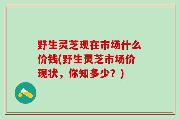 野生灵芝现在市场什么价钱(野生灵芝市场价现状，你知多少？)