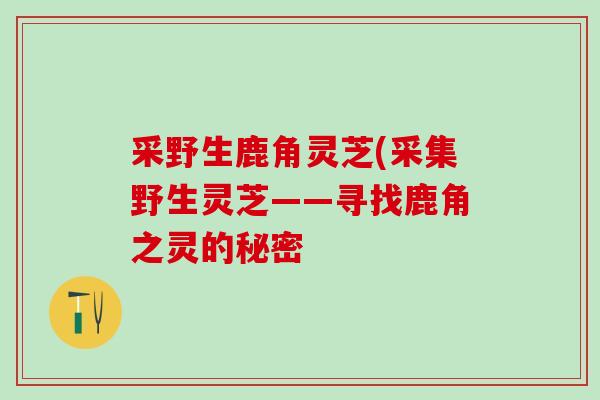 采野生鹿角灵芝(采集野生灵芝——寻找鹿角之灵的秘密