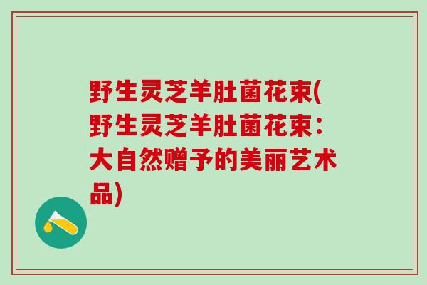 野生灵芝羊肚菌花束(野生灵芝羊肚菌花束:大自然赠予的美丽艺术品) 野生灵芝羊肚菌花束(野生灵芝羊肚菌花束:大自然赠予的美丽艺术品)