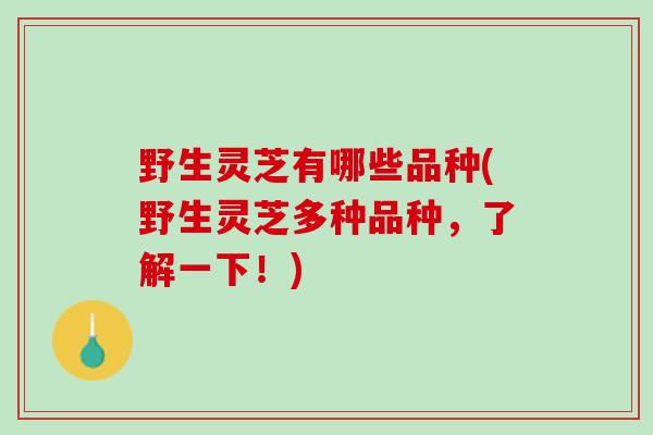 野生灵芝有哪些品种(野生灵芝多种品种，了解一下！)