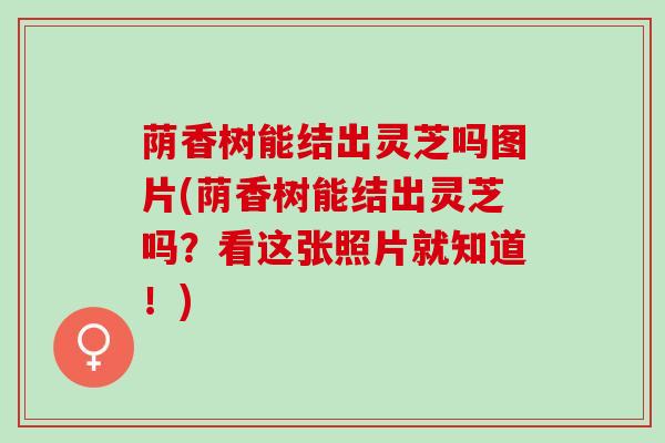 荫香树能结出灵芝吗图片(荫香树能结出灵芝吗？看这张照片就知道！)