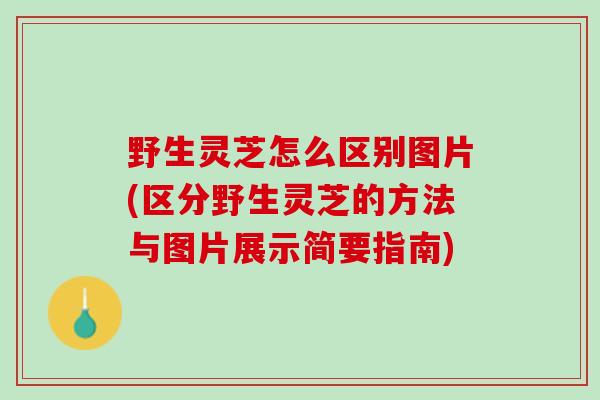 野生灵芝怎么区别图片(区分野生灵芝的方法与图片展示简要指南)
