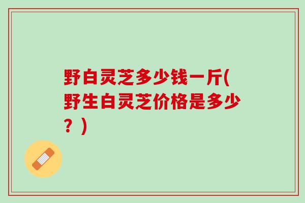 野白灵芝多少钱一斤(野生白灵芝价格是多少？)