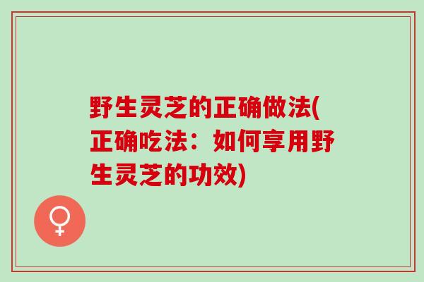 野生灵芝的正确做法(正确吃法:如何享用野生灵芝的功效) 野生灵芝的正确做法(正确吃法:如何享用野生灵芝的功效)