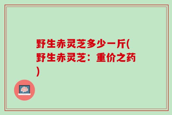 野生赤灵芝多少一斤(野生赤灵芝：重价之药)
