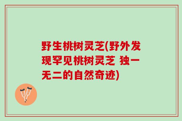 野生桃树灵芝(野外发现罕见桃树灵芝 独一无二的自然奇迹)