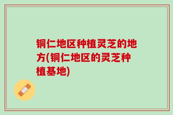 铜仁地区种植灵芝的地方(铜仁地区的灵芝种植基地)