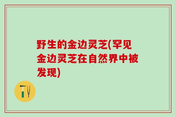 野生的金边灵芝(罕见金边灵芝在自然界中被发现)