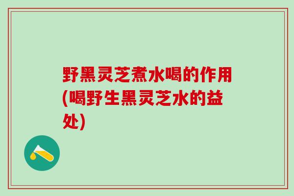 野黑灵芝煮水喝的作用(喝野生黑灵芝水的益处) 野黑灵芝煮水喝的作用(喝野生黑灵芝水的益处)