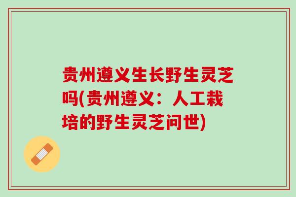 贵州遵义生长野生灵芝吗(贵州遵义：人工栽培的野生灵芝问世)