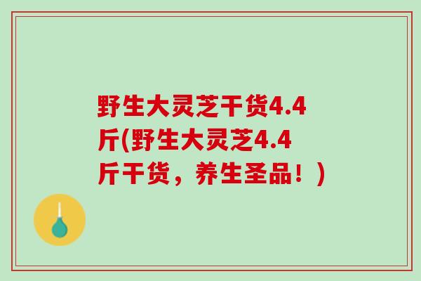 野生大灵芝干货4.4斤(野生大灵芝4.4斤干货，养生圣品！)
