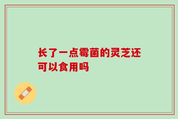 长了一点霉菌的灵芝还可以食用吗 长了一点霉菌的灵芝还可以食用吗