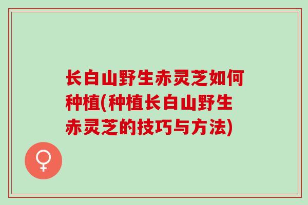 长白山野生赤灵芝如何种植(种植长白山野生赤灵芝的技巧与方法)