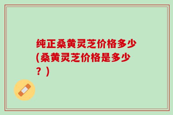 纯正桑黄灵芝价格多少(桑黄灵芝价格是多少?) 纯正桑黄灵芝价格多少(桑黄灵芝价格是多少?)