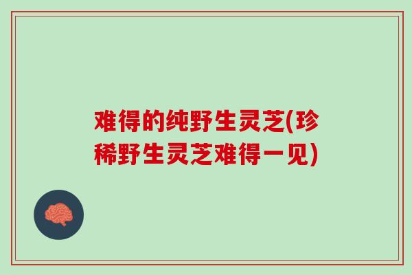 难得的纯野生灵芝(珍稀野生灵芝难得一见)