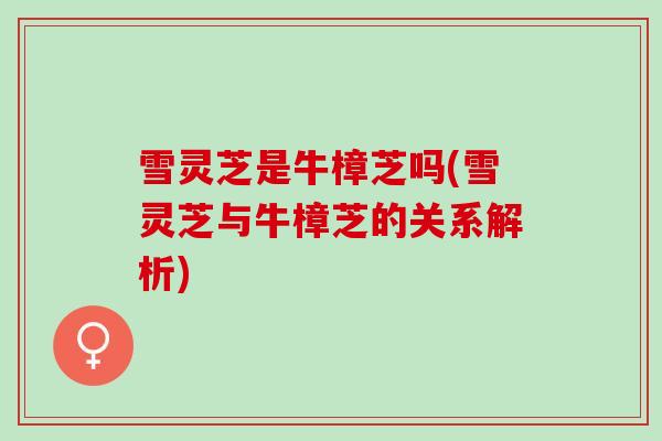 雪灵芝是牛樟芝吗(雪灵芝与牛樟芝的关系解析) 雪灵芝是牛樟芝吗(雪灵芝与牛樟芝的关系解析)