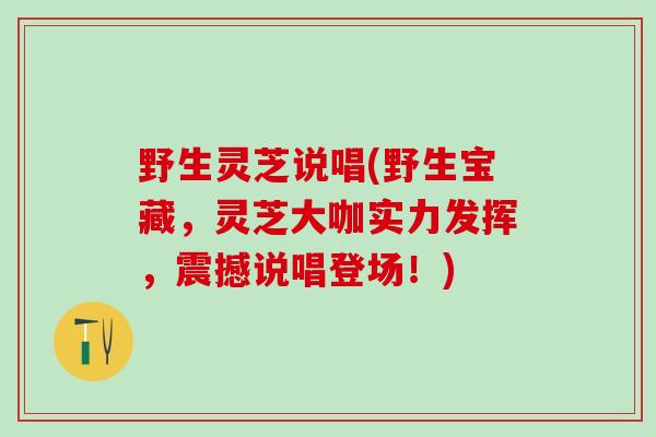 野生灵芝说唱(野生宝藏，灵芝大咖实力发挥，震撼说唱登场！)