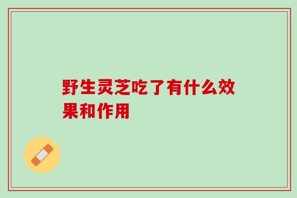 野生灵芝吃了有什么效果和作用 野生灵芝吃了有什么效果和作用