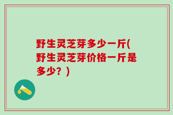 野生灵芝芽多少一斤(野生灵芝芽价格一斤是多少?) 野生灵芝芽多少一斤(野生灵芝芽价格一斤是多少?)