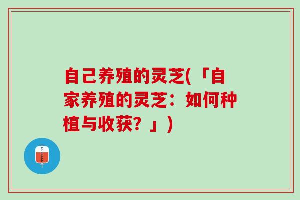 自己养殖的灵芝(「自家养殖的灵芝:如何种植与收获?」) 自己养殖的灵芝(「自家养殖的灵芝:如何种植与收获?」)