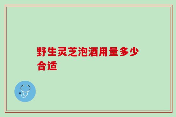 野生灵芝泡酒用量多少合适