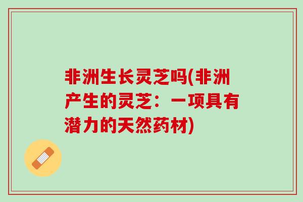 非洲生长灵芝吗(非洲产生的灵芝:一项具有潜力的天然药材) 非洲生长灵芝吗(非洲产生的灵芝:一项具有潜力的天然药材)