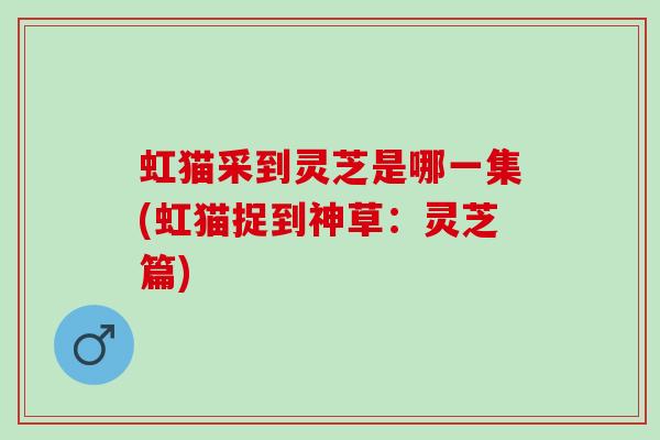 虹猫采到灵芝是哪一集(虹猫捉到神草：灵芝篇)