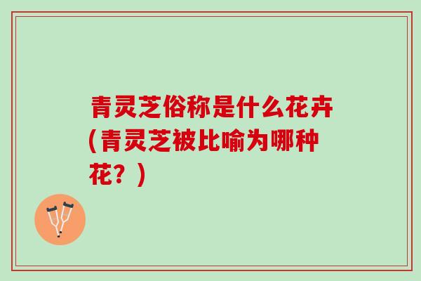 青灵芝俗称是什么花卉(青灵芝被比喻为哪种花？)