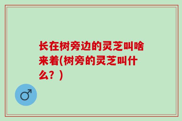 长在树旁边的灵芝叫啥来着(树旁的灵芝叫什么？)