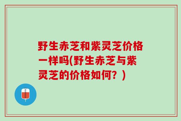 野生赤芝和紫灵芝价格一样吗(野生赤芝与紫灵芝的价格如何？)