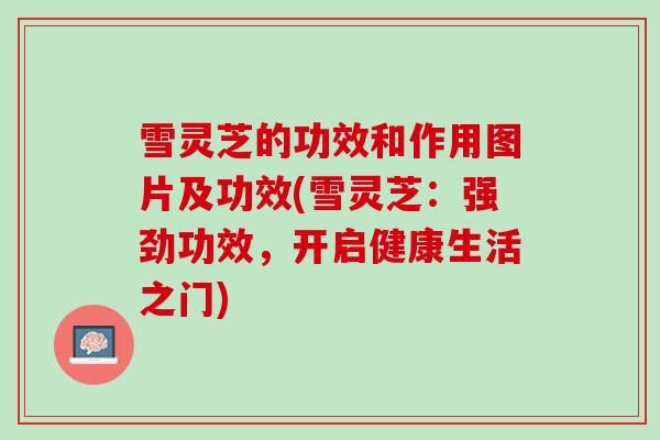 雪灵芝的功效和作用图片及功效(雪灵芝：强劲功效，开启健康生活之门)