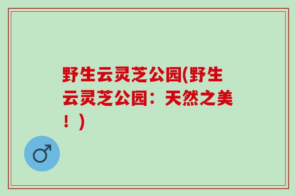 野生云灵芝公园(野生云灵芝公园：天然之美！)
