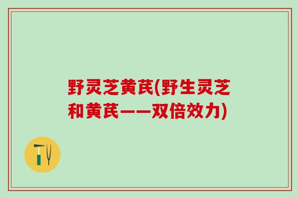 野灵芝黄芪(野生灵芝和黄芪——双倍效力)