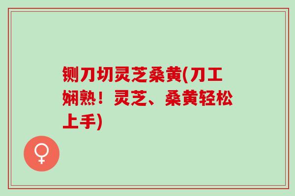 铡刀切灵芝桑黄(刀工娴熟！灵芝、桑黄轻松上手)