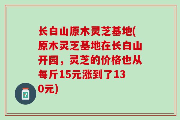 长白山原木灵芝基地(原木灵芝基地在长白山开园,灵芝的价格也从每斤15元涨到了130元) 长白山原木灵芝基地(原木灵芝基地在长白山开园,灵芝的价格也从每斤15元涨到了130元)