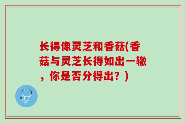 长得像灵芝和香菇(香菇与灵芝长得如出一辙，你是否分得出？)