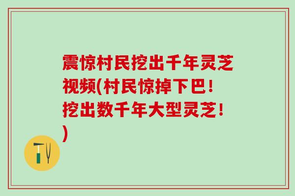 震惊村民挖出千年灵芝视频(村民惊掉下巴！挖出数千年大型灵芝！)