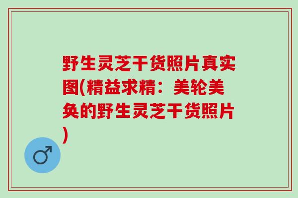 野生灵芝干货照片真实图(精益求精：美轮美奂的野生灵芝干货照片)
