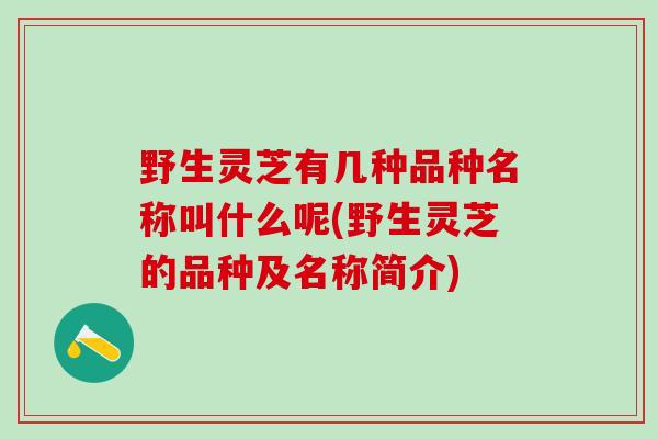 野生灵芝有几种品种名称叫什么呢(野生灵芝的品种及名称简介)
