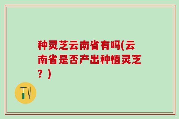 种灵芝云南省有吗(云南省是否产出种植灵芝？)