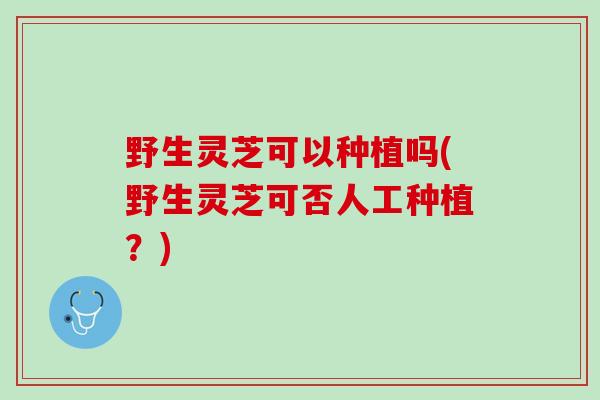 野生灵芝可以种植吗(野生灵芝可否人工种植？)