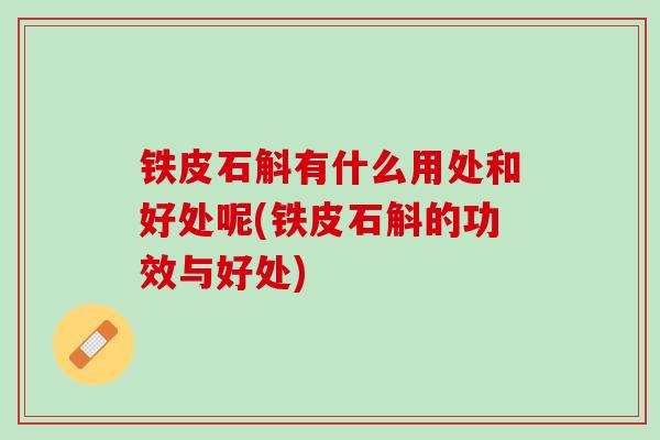 铁皮石斛有什么用处和好处呢(铁皮石斛的功效与好处)