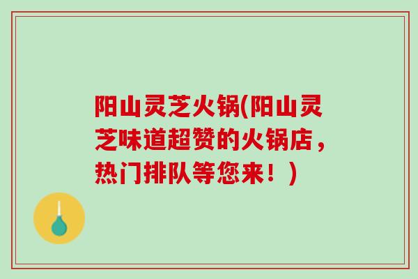 阳山灵芝火锅(阳山灵芝味道超赞的火锅店,热门排队等您来!) 阳山灵芝火锅(阳山灵芝味道超赞的火锅店,热门排队等您来!)