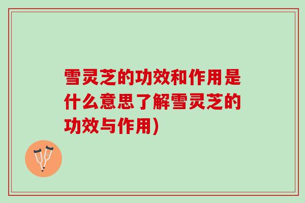 雪灵芝的功效和作用是什么意思了解雪灵芝的功效与作用)