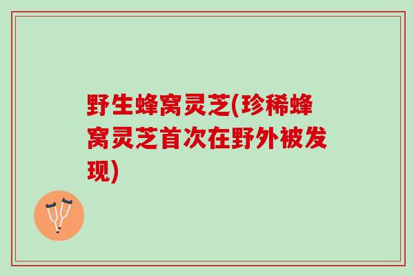 野生蜂窝灵芝(珍稀蜂窝灵芝首次在野外被发现) 野生蜂窝灵芝(珍稀蜂窝灵芝首次在野外被发现)