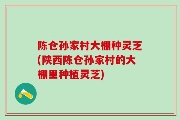陈仓孙家村大棚种灵芝(陕西陈仓孙家村的大棚里种植灵芝) 陈仓孙家村大棚种灵芝(陕西陈仓孙家村的大棚里种植灵芝)
