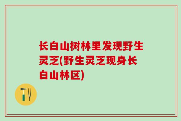 长白山树林里发现野生灵芝(野生灵芝现身长白山林区)