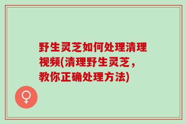 野生灵芝如何处理清理视频(清理野生灵芝，教你正确处理方法)